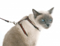 Preview: Set aus Halsband, Geschirr und Leine f. Katzen, reflektierend
