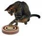 Preview: Denk- und Lernspielzeug Exciting, für Katzen ø20x9cm
