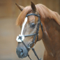 Preview: KAVALKADE Bridle "Diandro"