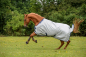 Preview: BUCAS POWER TURNOUT rug extra 300g
