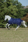 Preview: BUCAS FREEDOM TURNOUT rug 150g
