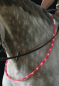 Preview: USG LED-Leuchthalsring für Pferde