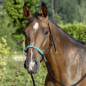 Preview: USG Knotted Rope Halter with Reins