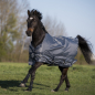Preview: BUSSE Turnout Rug WINDCHILL 100