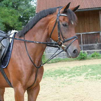 Thiedemann reins, black, pony