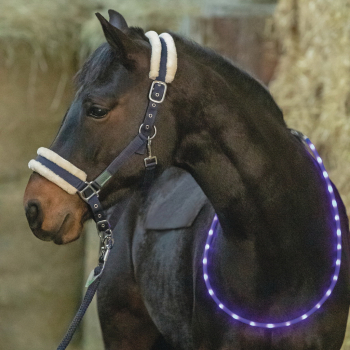 USG LED-Leuchthalsring für Pferde