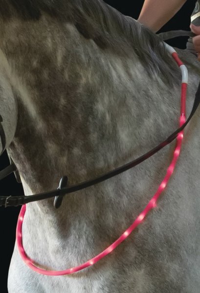 USG LED-Leuchthalsring für Pferde