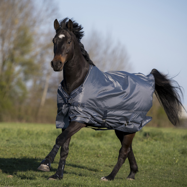 BUSSE Turnout Rug WINDCHILL 100