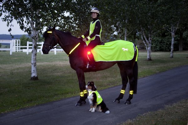 Reflektordecke gelb mit USG Pferd