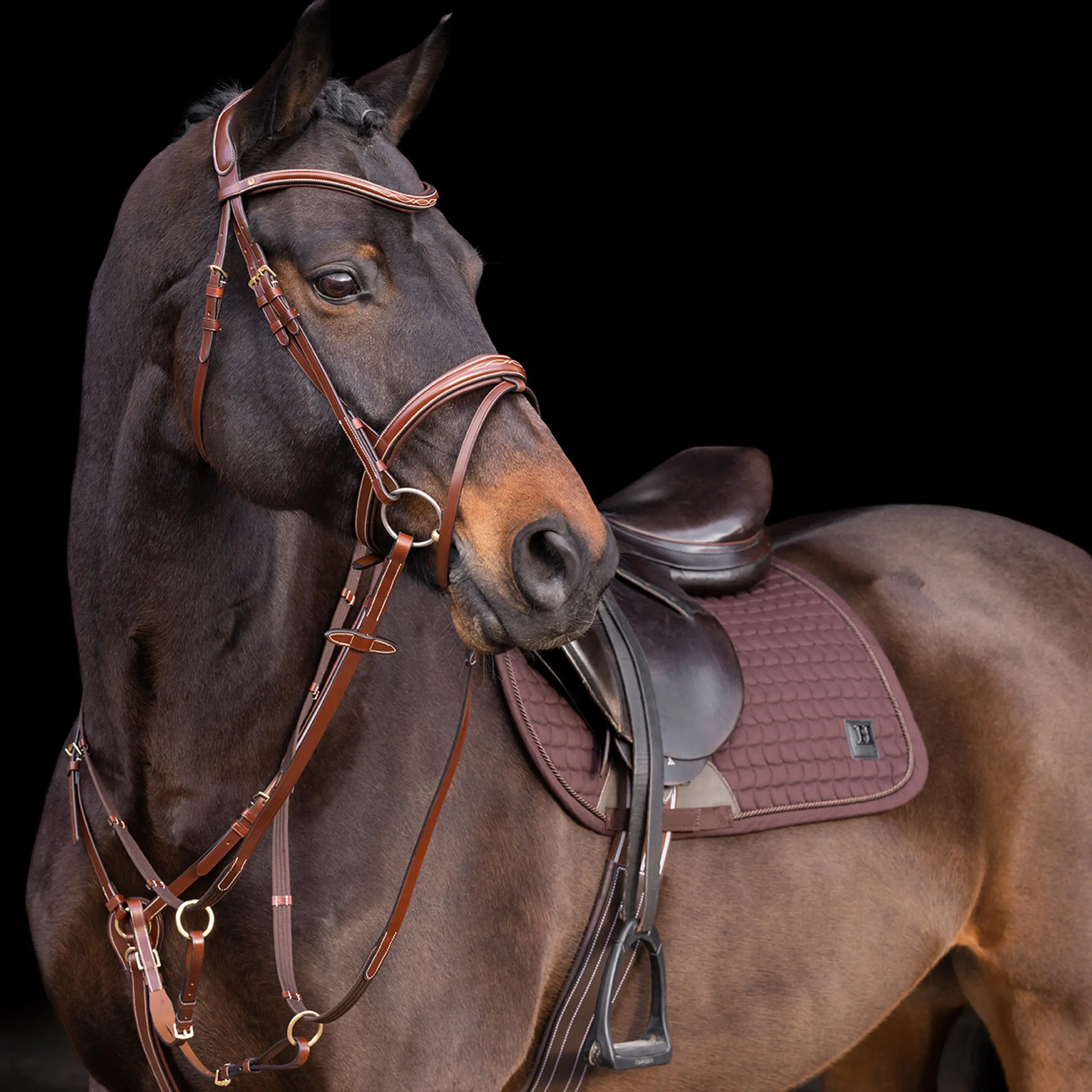 Martingale HVP-Legacy