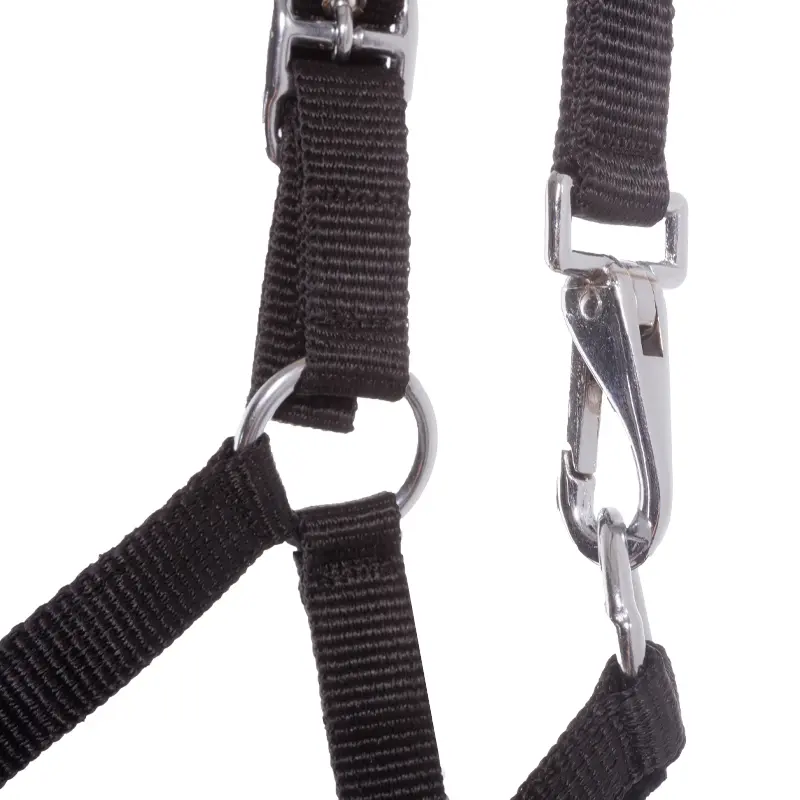 nylon Foal/Yearling halter