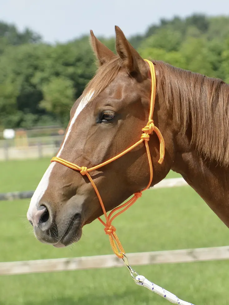 BUSSE Rope Halter SMOOTH II