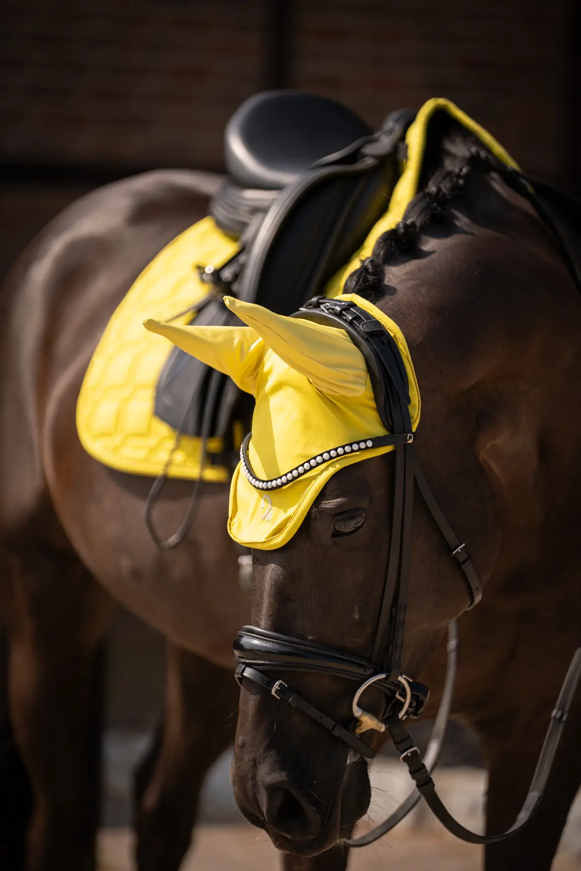 Schabracke -Limone Elegant- Sommer 2026