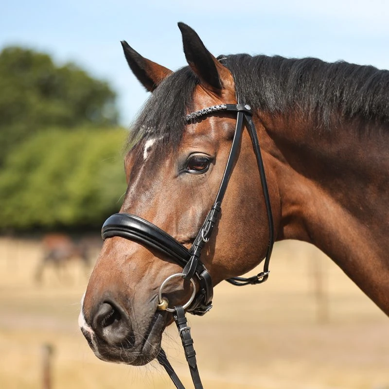 bridle AYANA crank nb. with flash