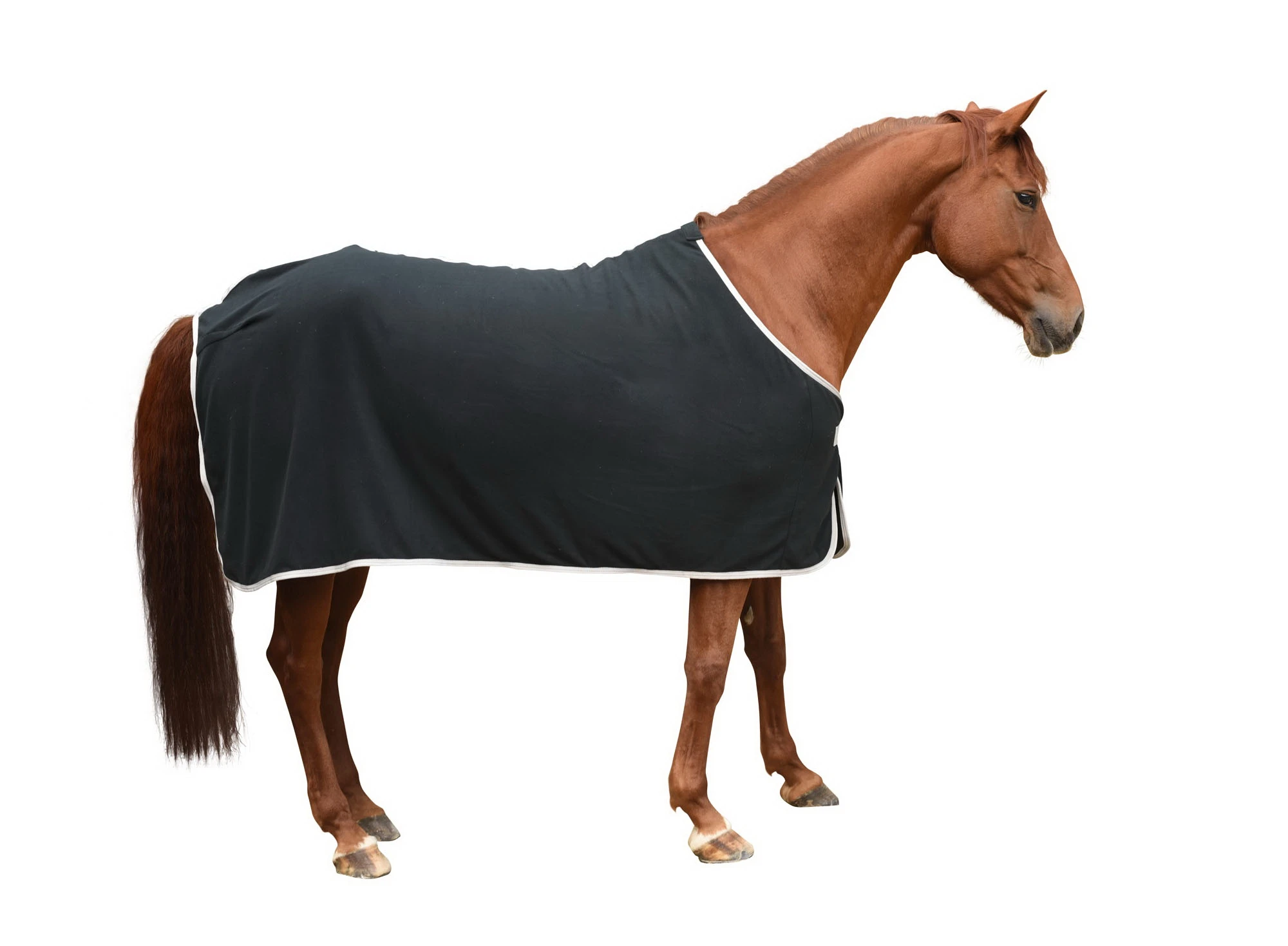 RugBe Economic Fleece Blanket