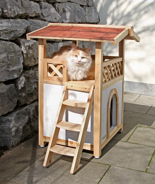 Cat House Tyrol Alpin 57 x 88 cm