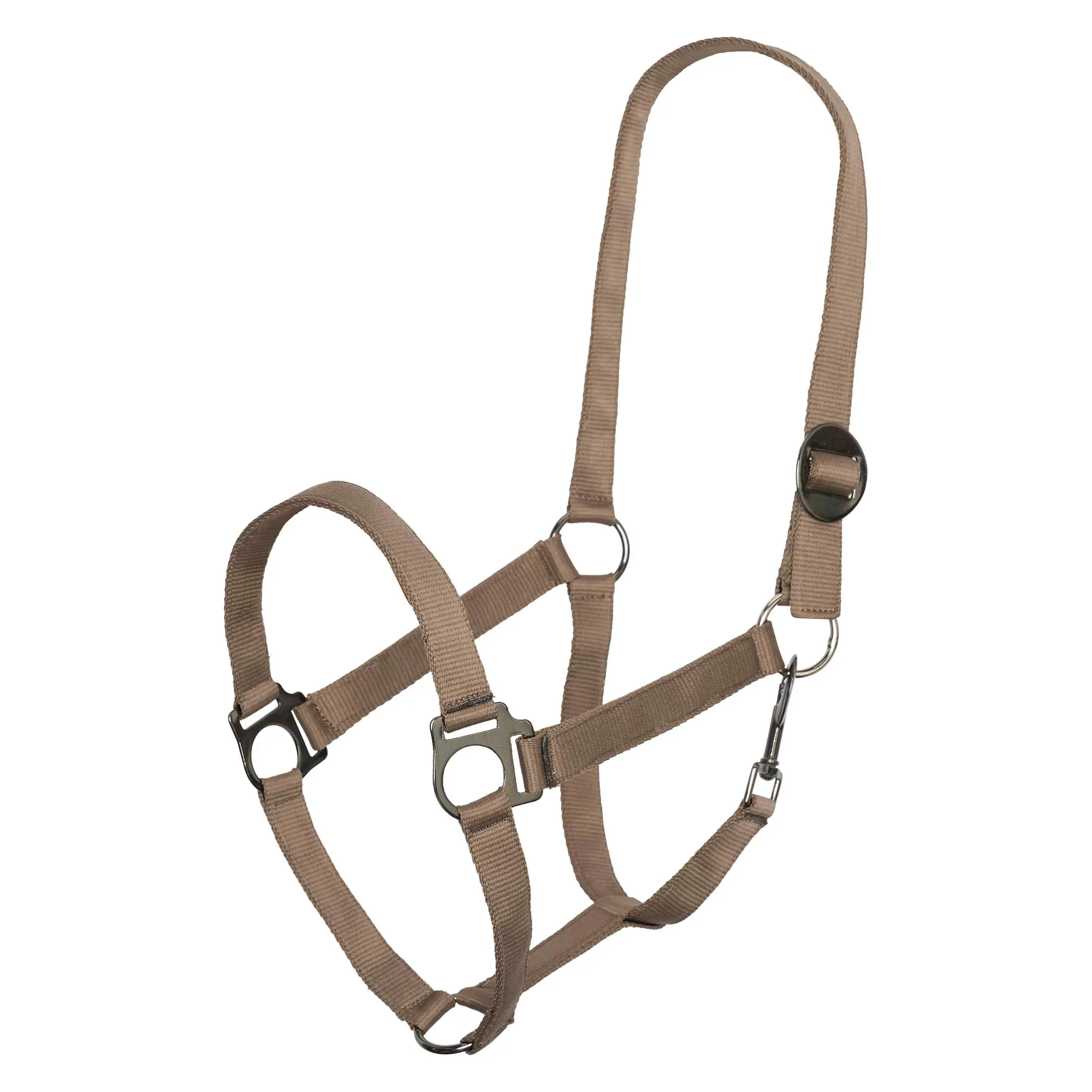 Headcollar IRHEconomic Summer 2026