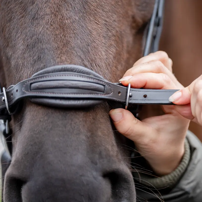 KAVALKADE Bridle LEVANA with padded drop noseband
