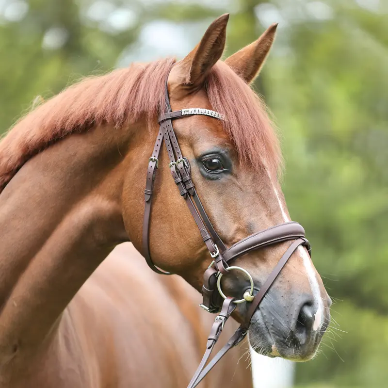 Trense EVERLYN mit schwed.komb. Reithalfter, geöltes Leder