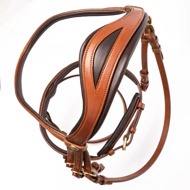 bridle "Robin" english nb. with flash