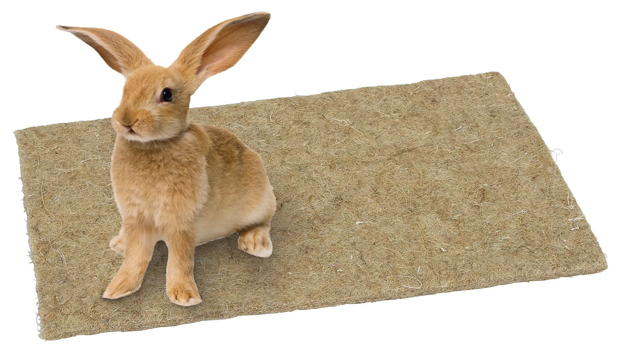 Hemp rodent mat 40 x 25 cm
