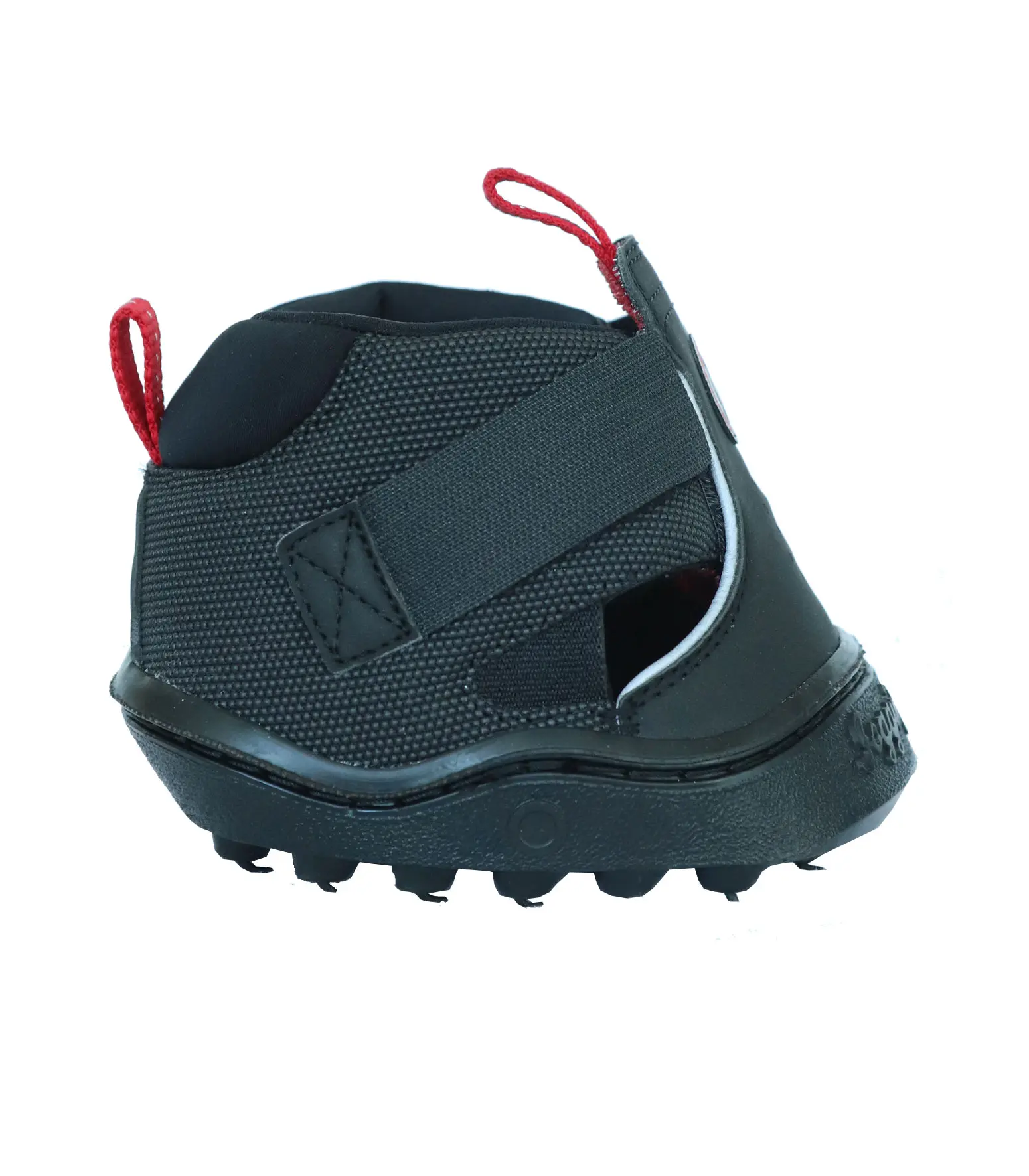 Trekking Shoe