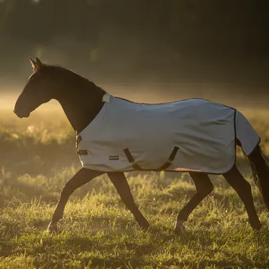 BUSSE Summer Rug EARLY SEASON