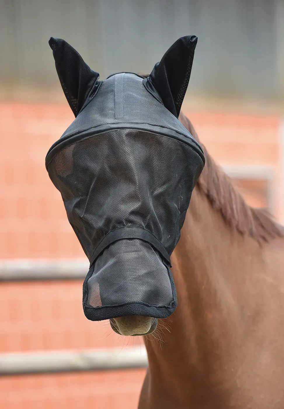 BUSSE Fly Mask FLY PROFESSIONAL
