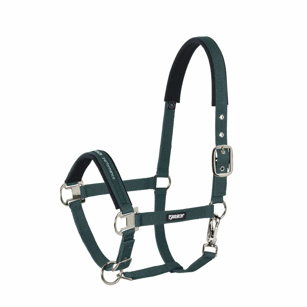 headcollar PIN BUCKLE CORE