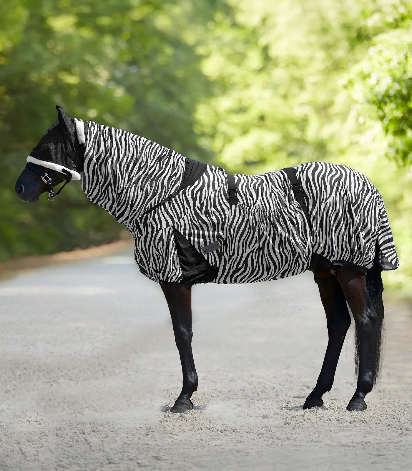 Ekzemdecke ZEBRA