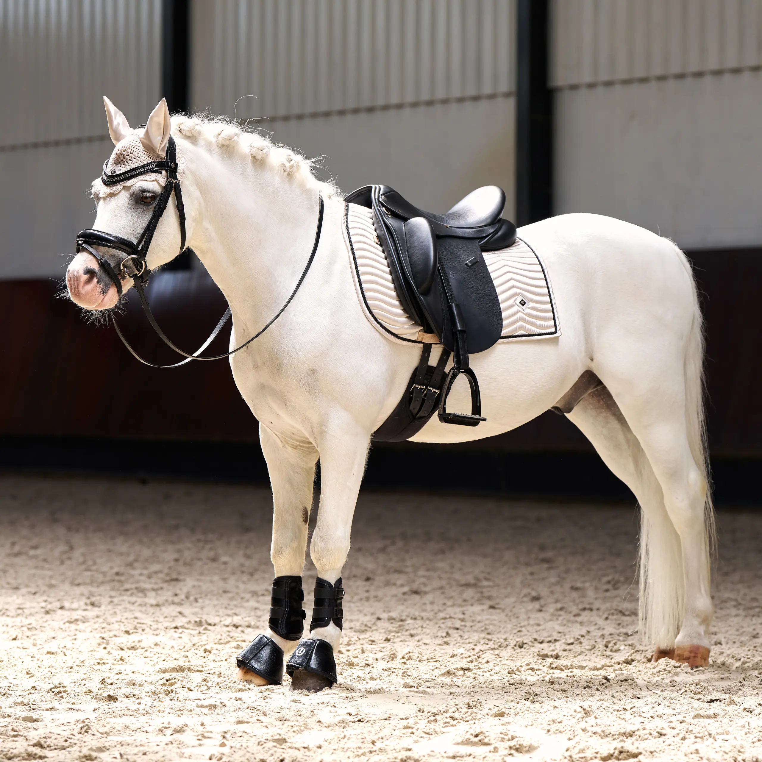 Saddlepad IRHRebel DR Summer 2026