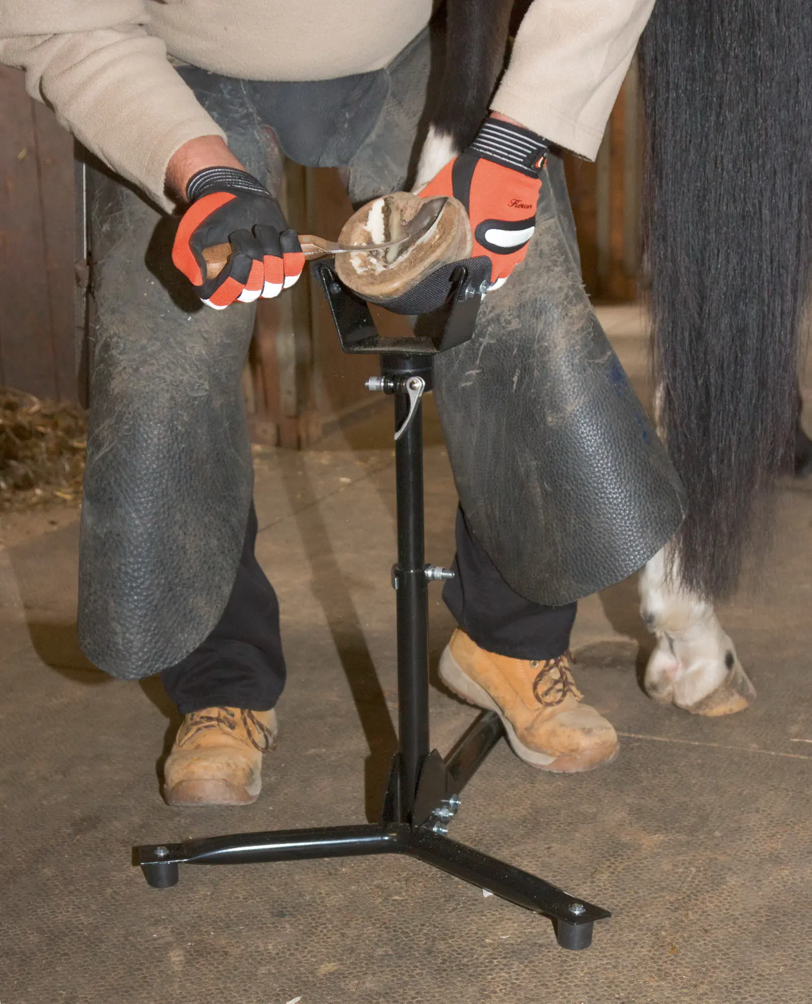 hoof jack EcoFlex 2in1