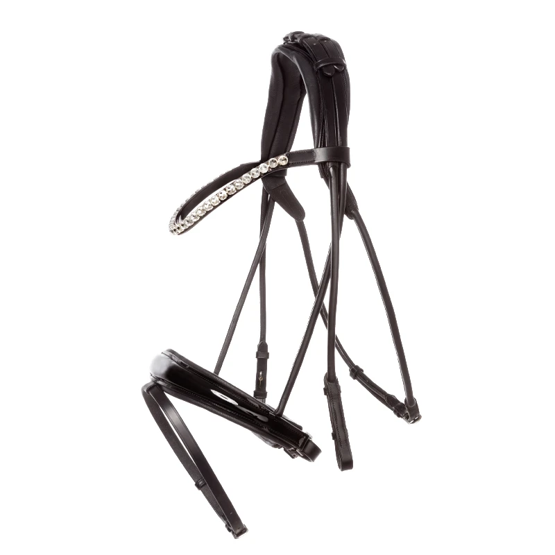 patent bridle FLORINA crank nb. with flash-round