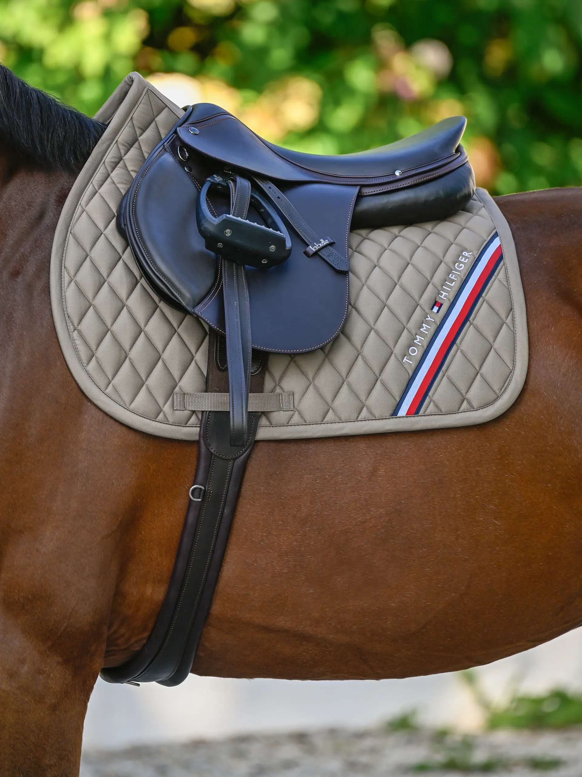 Jumping saddlepad STANFORD