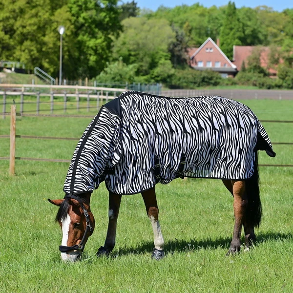 BUSSE Turnout Fly Sheet COMFORT PRO ZEBRA
