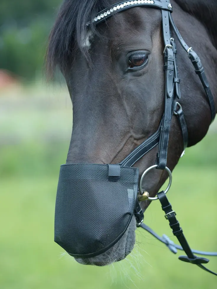 BUSSE Nostril Cover FLY PROFESSIONAL ANATOMIC