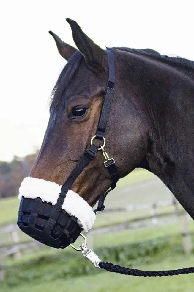 BUSSE Grazing Muzzle COMFY