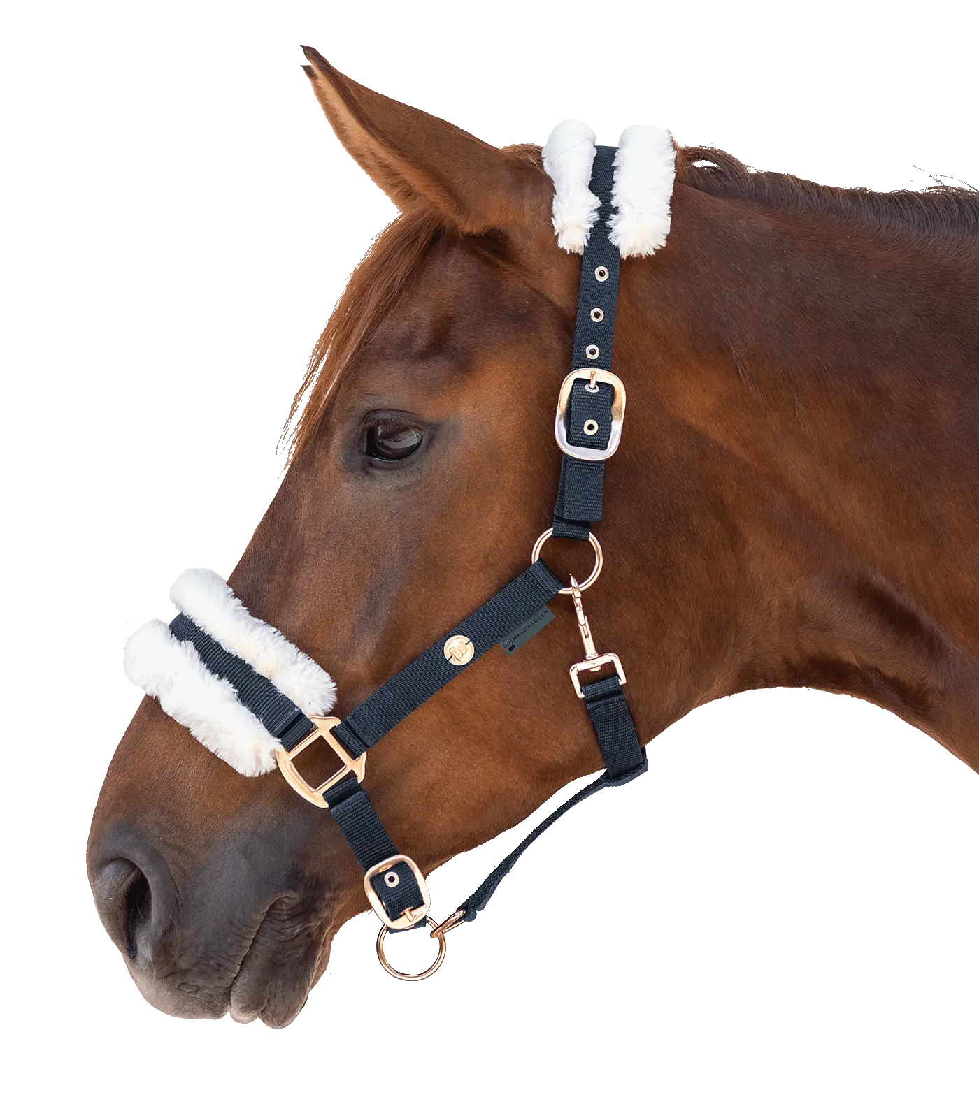 Modern Rosé Halter