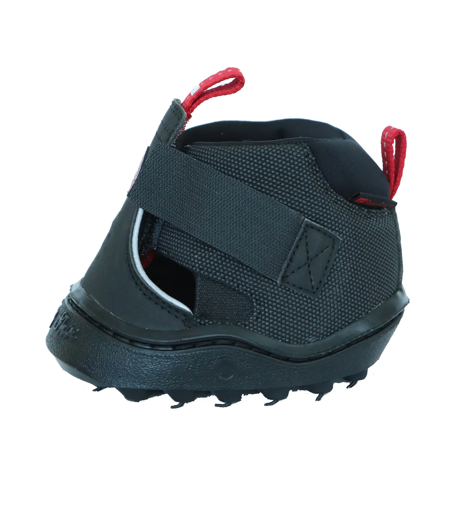 Trekking Shoe