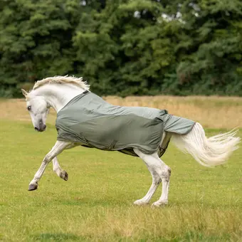 BUSSE Turnout Rug RAINFLY