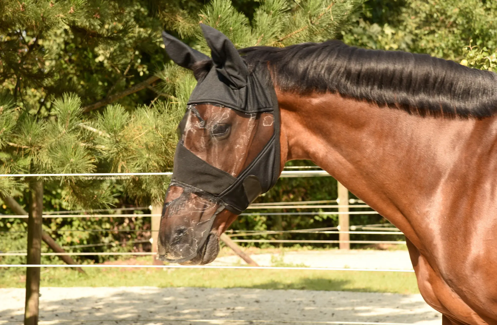 KERBL Fly mask black, with ear and nose protection