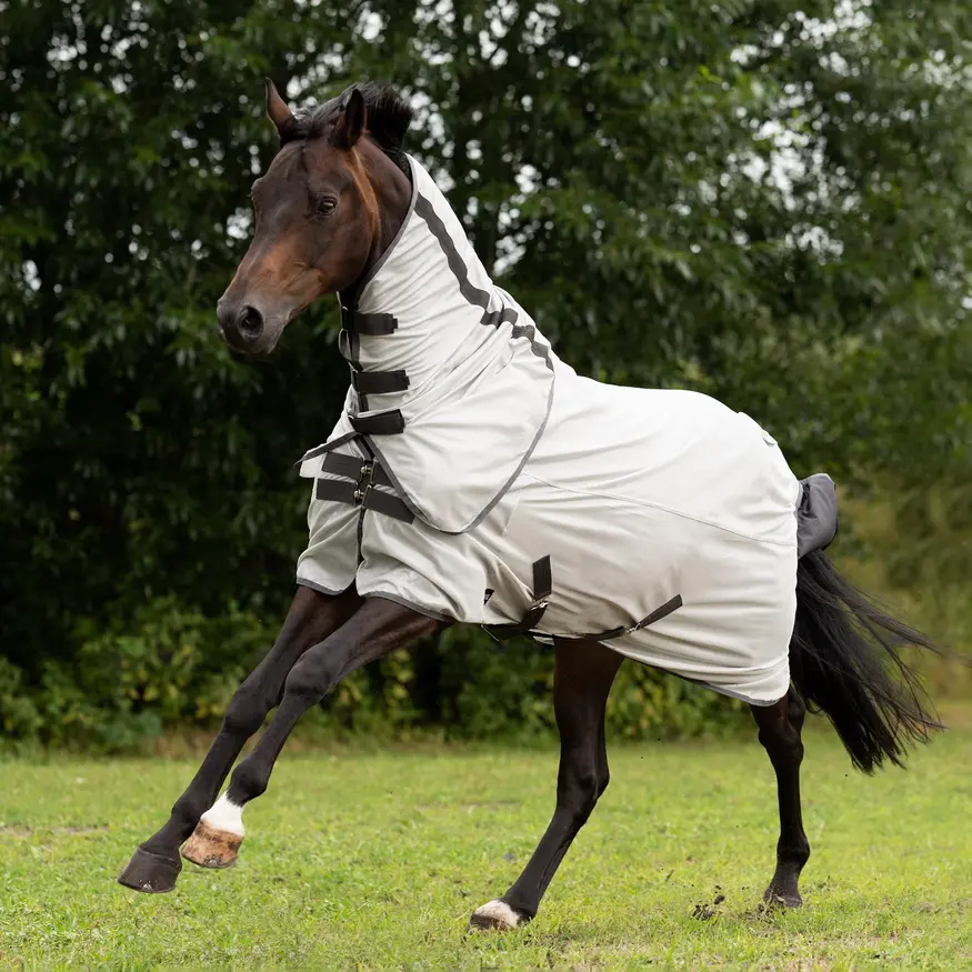 BUSSE Turnout Fly Sheet SUNSHINE II