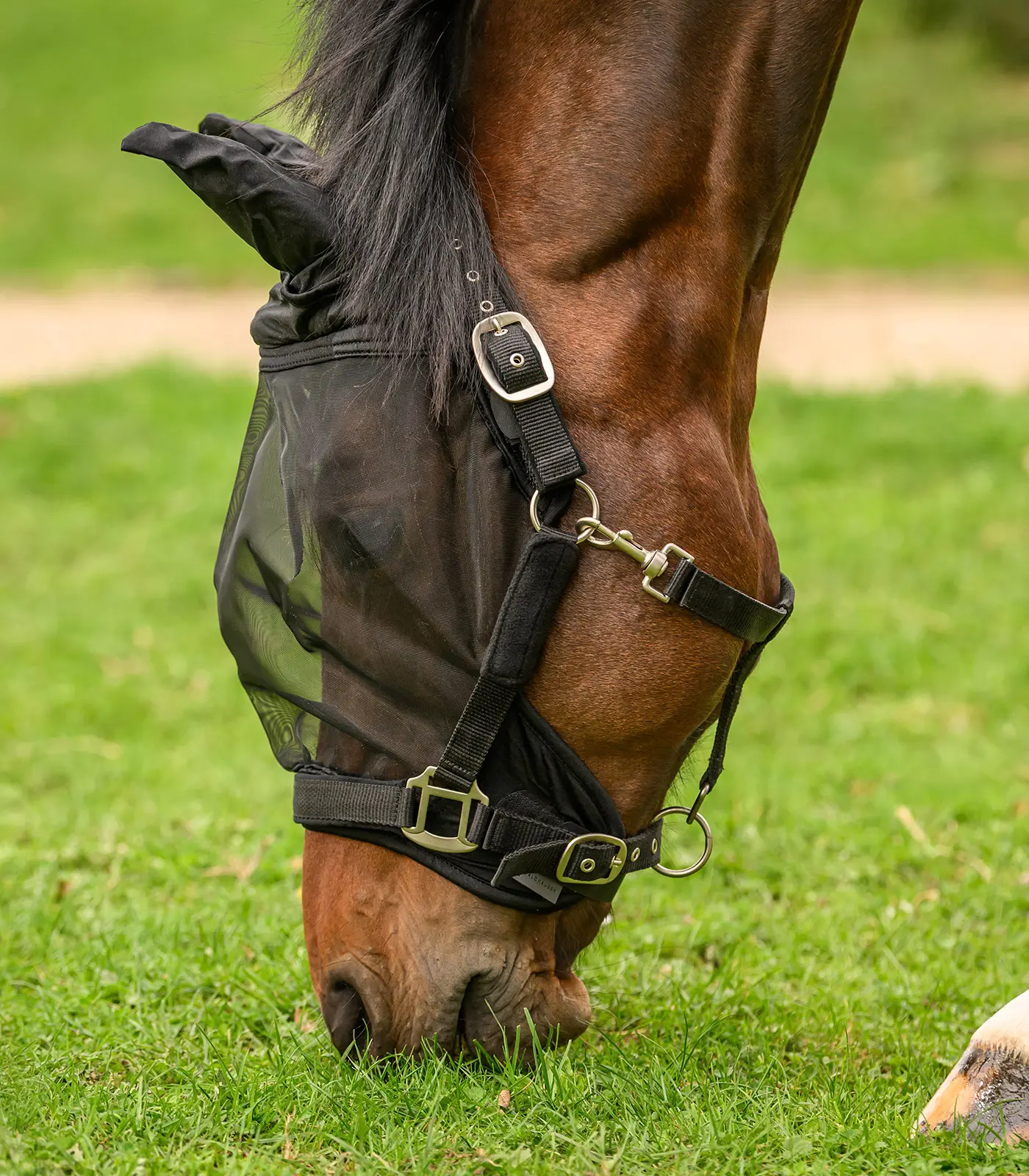 PREMIUM Fly Mask, with ear protection