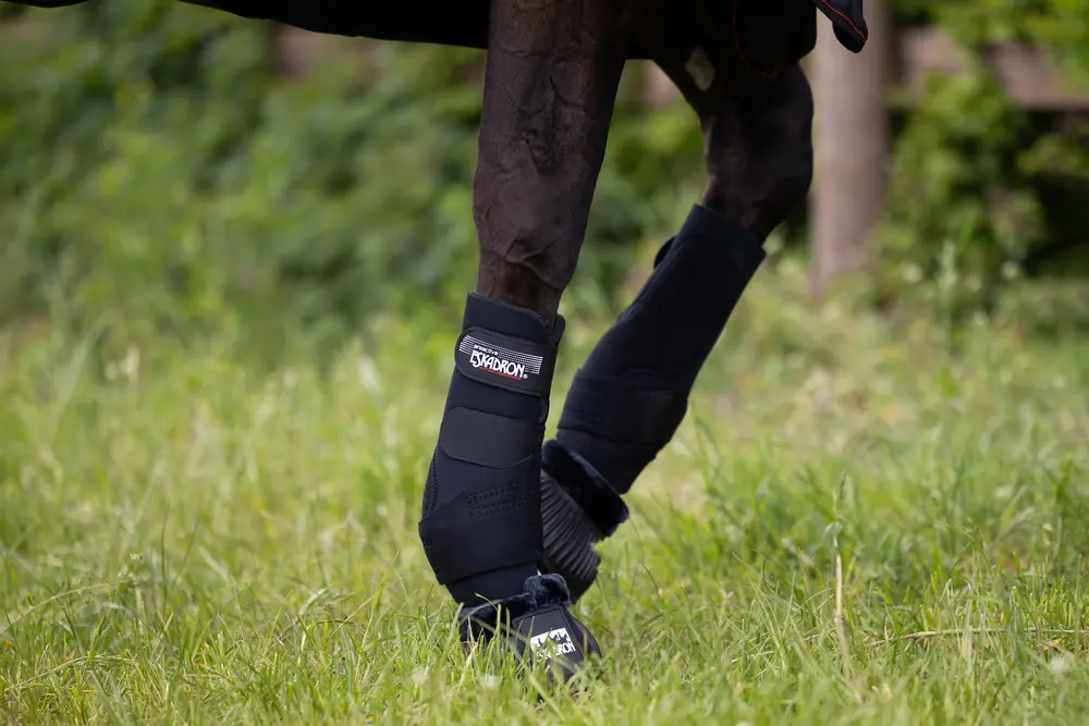 tendon boots PRO ACTIVE F Core