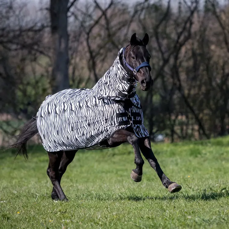 BUSSE Turnout Fly Sheet COMFORT PRO ZEBRA