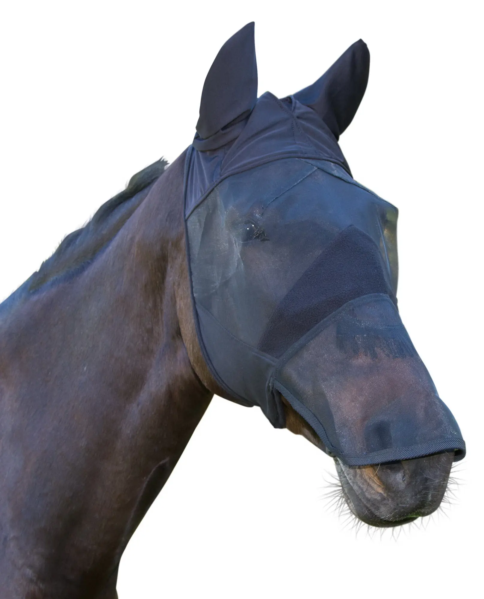 KERBL Fly mask black, with ear and nose protection