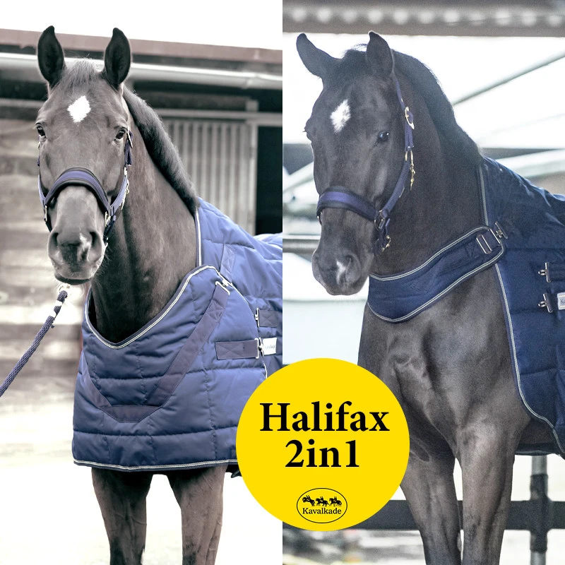 HALIFAX 2 in1 stable and walking machine rug 400 g