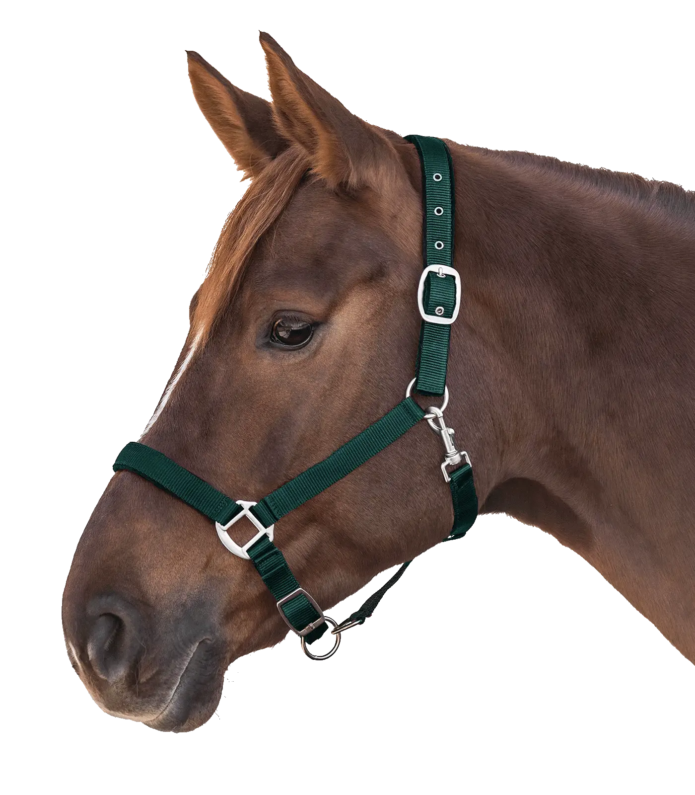 Halter SATIN