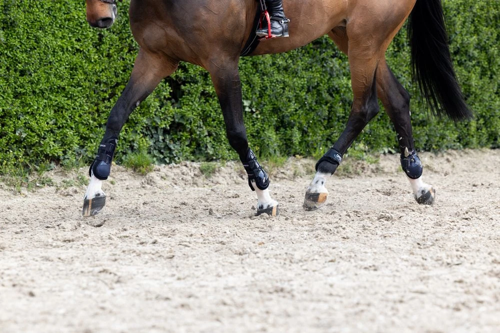 Tendon Boots PRO.FLEX SPORT F Core