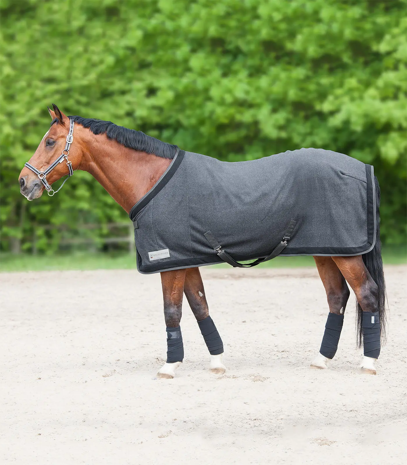 COMFORT Esperia Two Fleece Rug